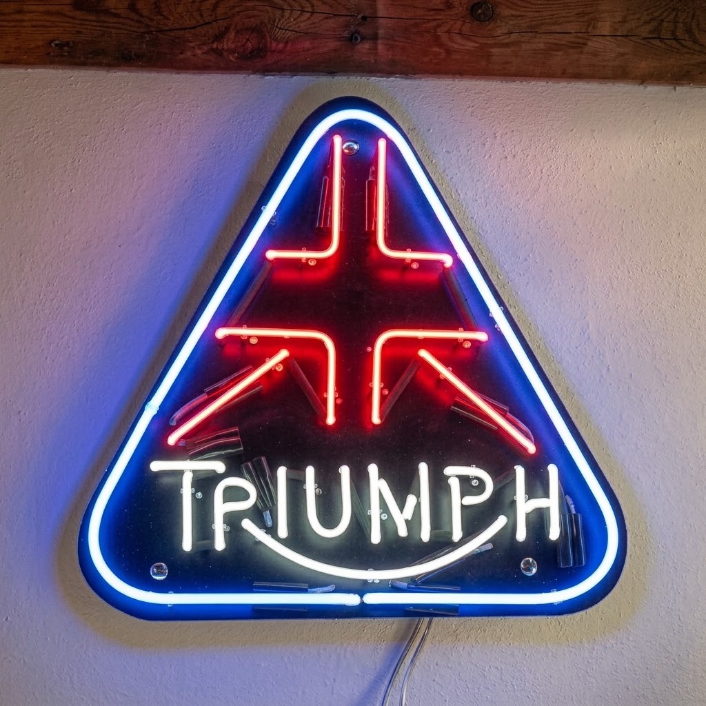 Trıumph Cam Neon